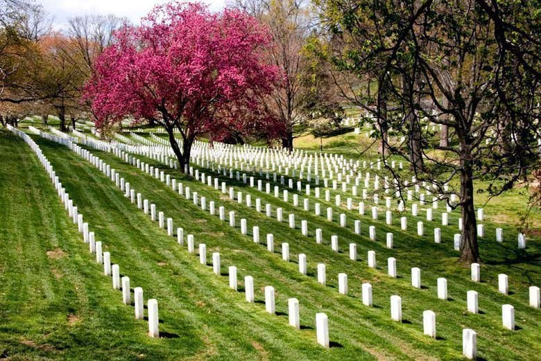 Imagen 7