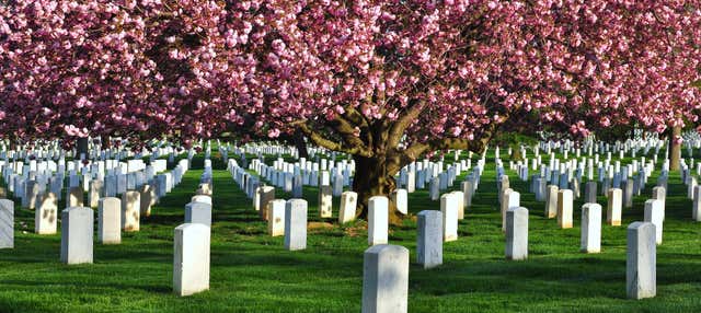 Tour del Cimitero di Arlington e dei memoriali di Washington