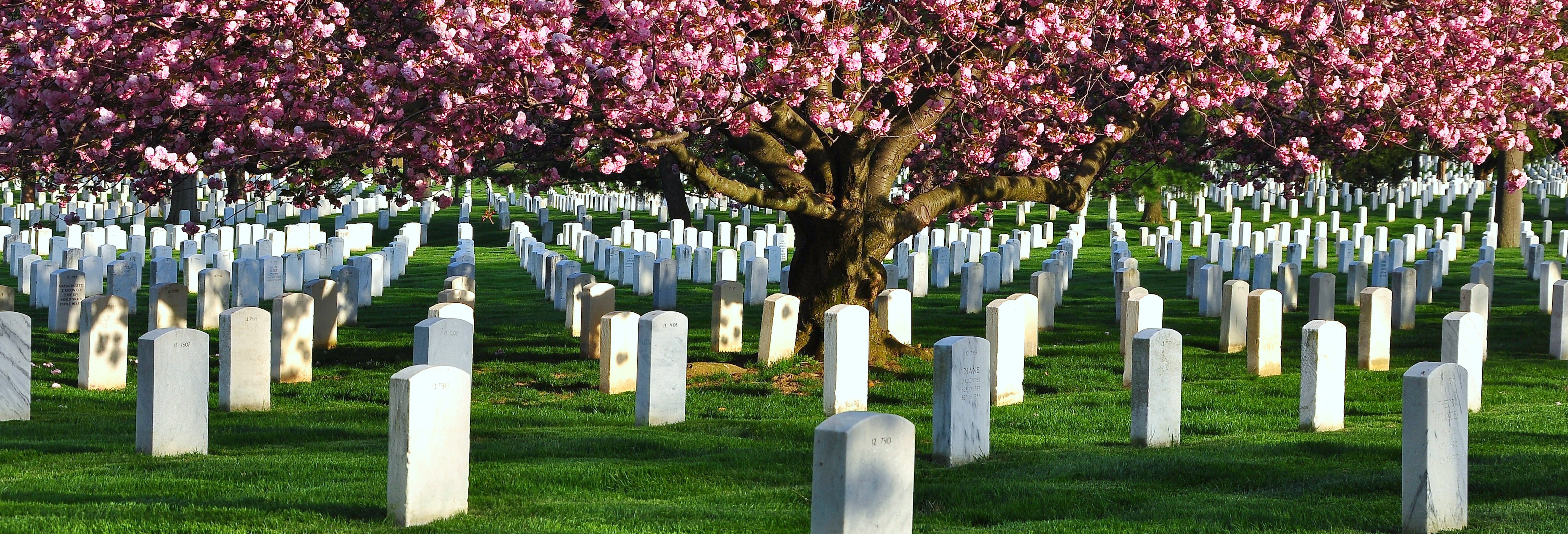 Tour pelo Cemitério de Arlington e memoriais de Washington
