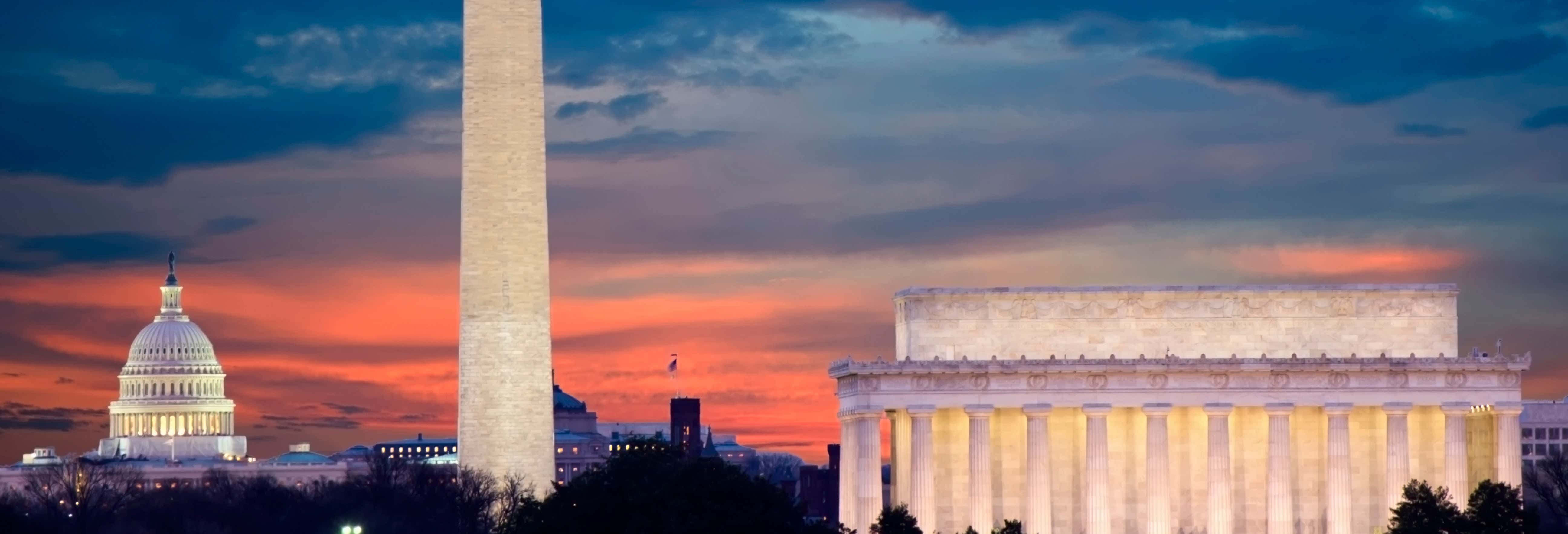 Open Top Bus Night Tour
