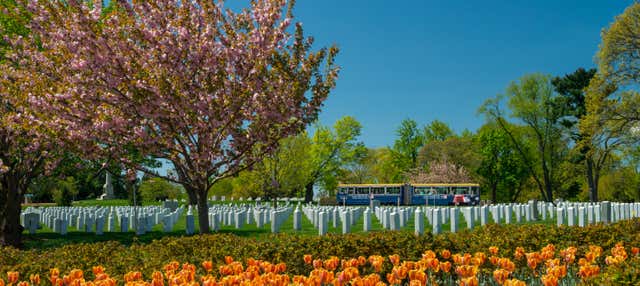 Trenino turistico del Cimitero di Arlington