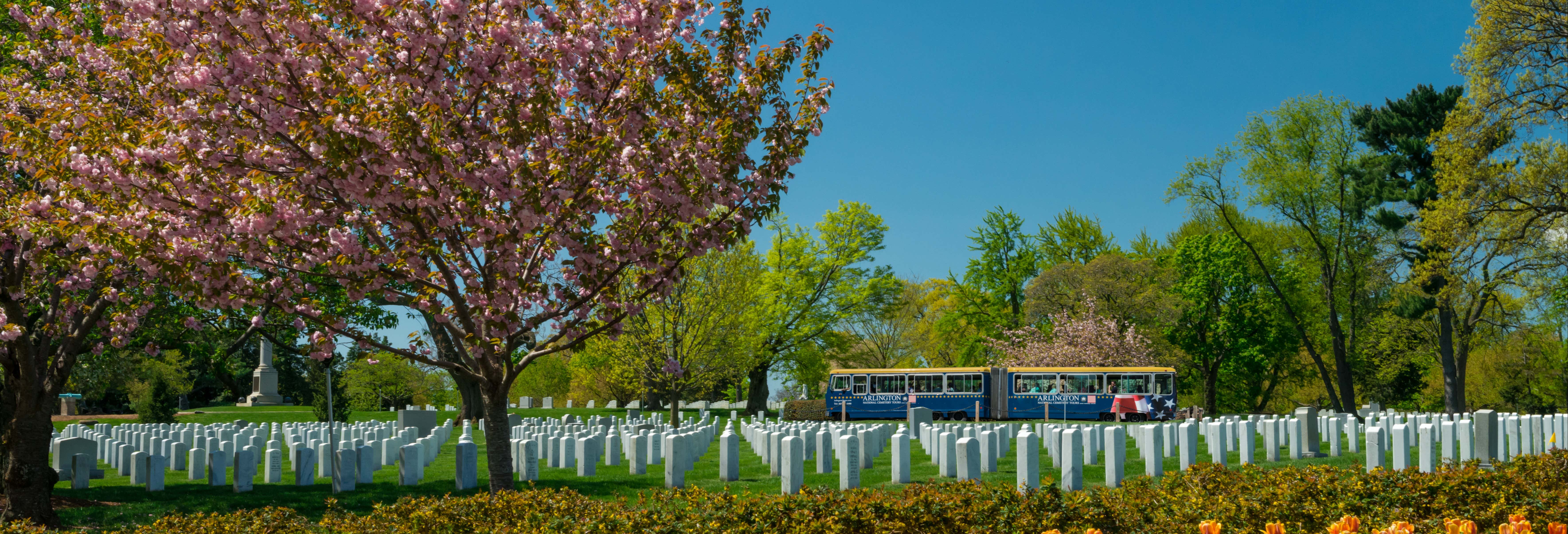 Trenino turistico del Cimitero di Arlington