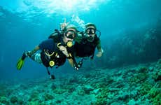 Beginners Scuba Dive in West Palm Beach