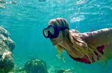 Snorkel at West Palm Beach