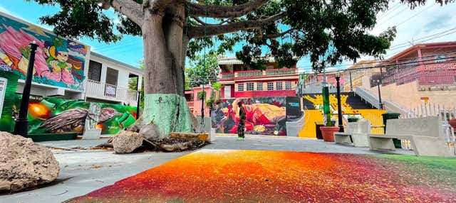 Visita guidata di Yaucromatic