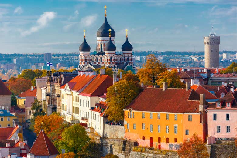 Imagen 2