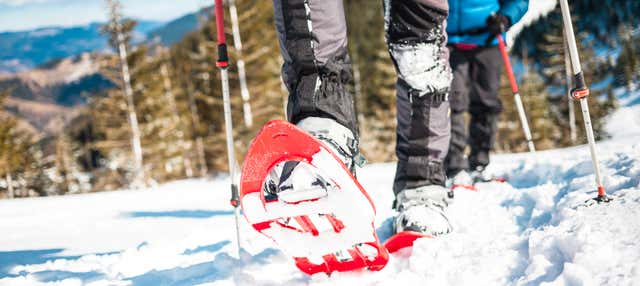 Passeggiata con le racchette da neve nei boschi di Tallinn