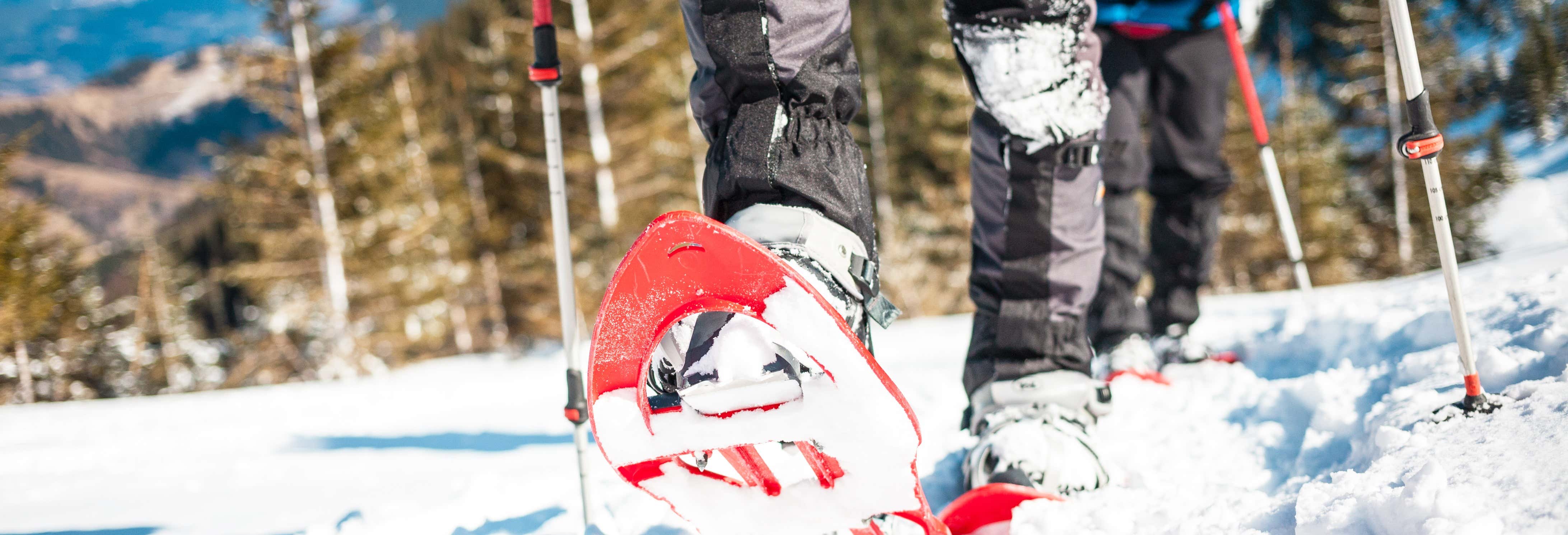 Passeggiata con le racchette da neve nei boschi di Tallinn