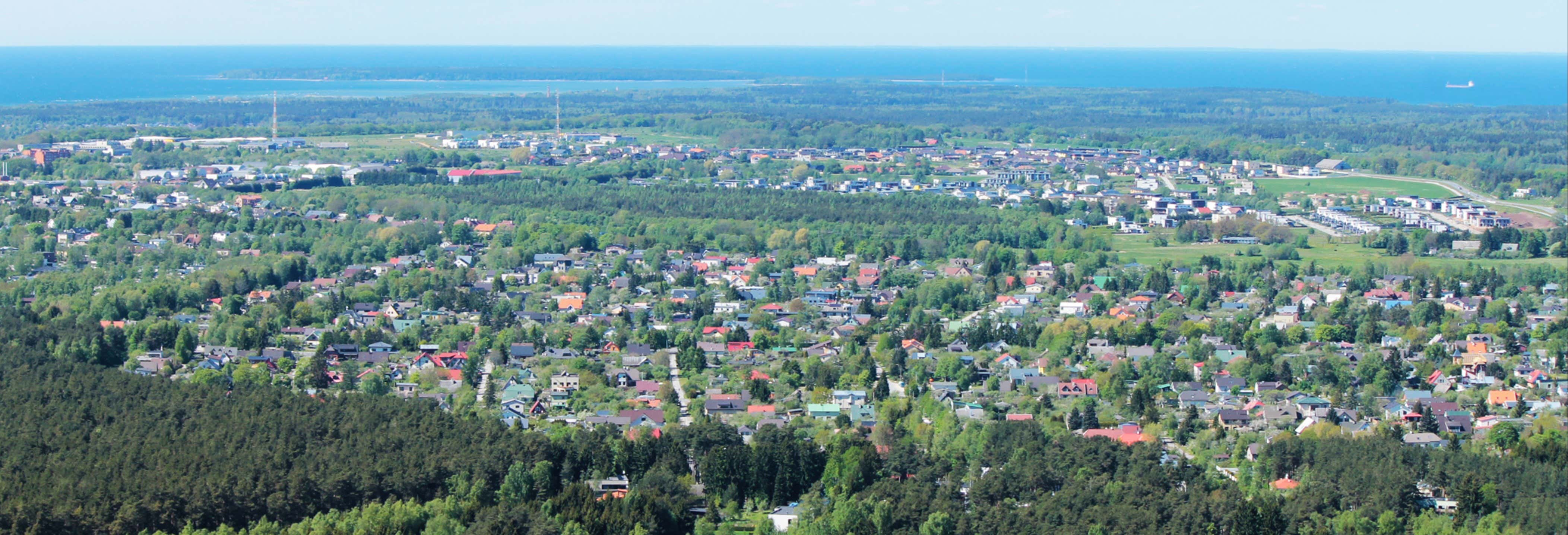 Tallinn TV Tower Rooftop Tour
