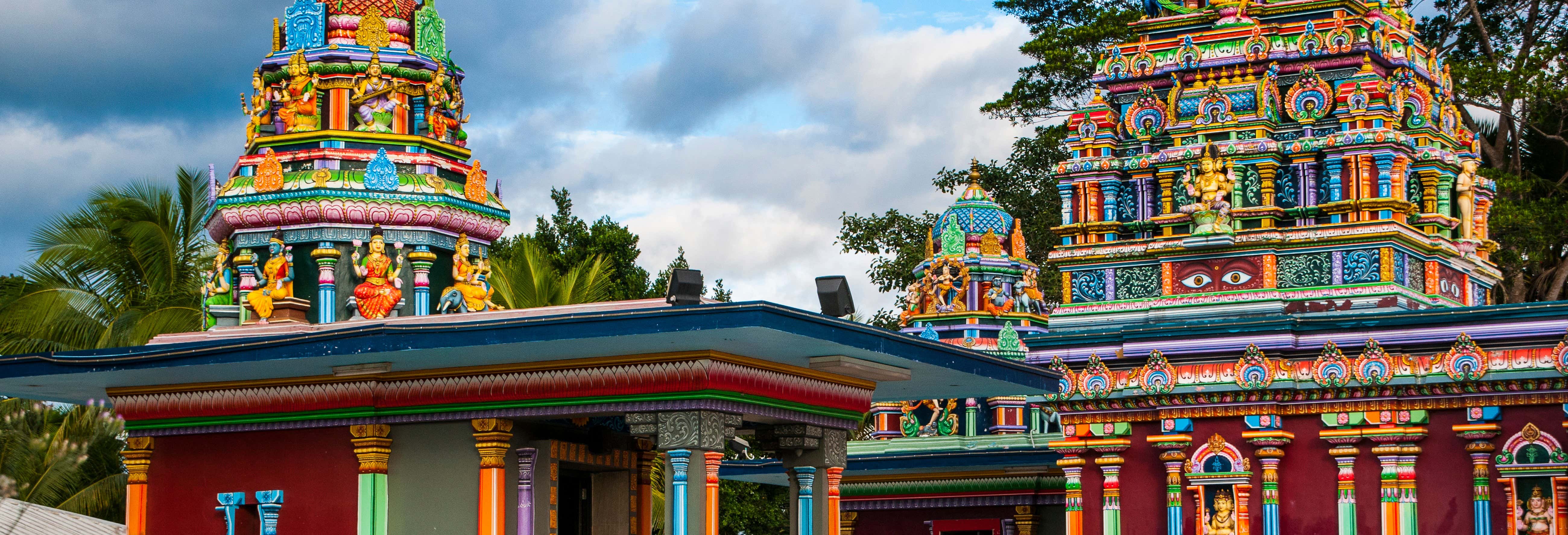 Tour privato di Nadi