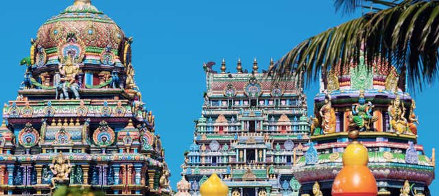 Visita guidata a Nadi