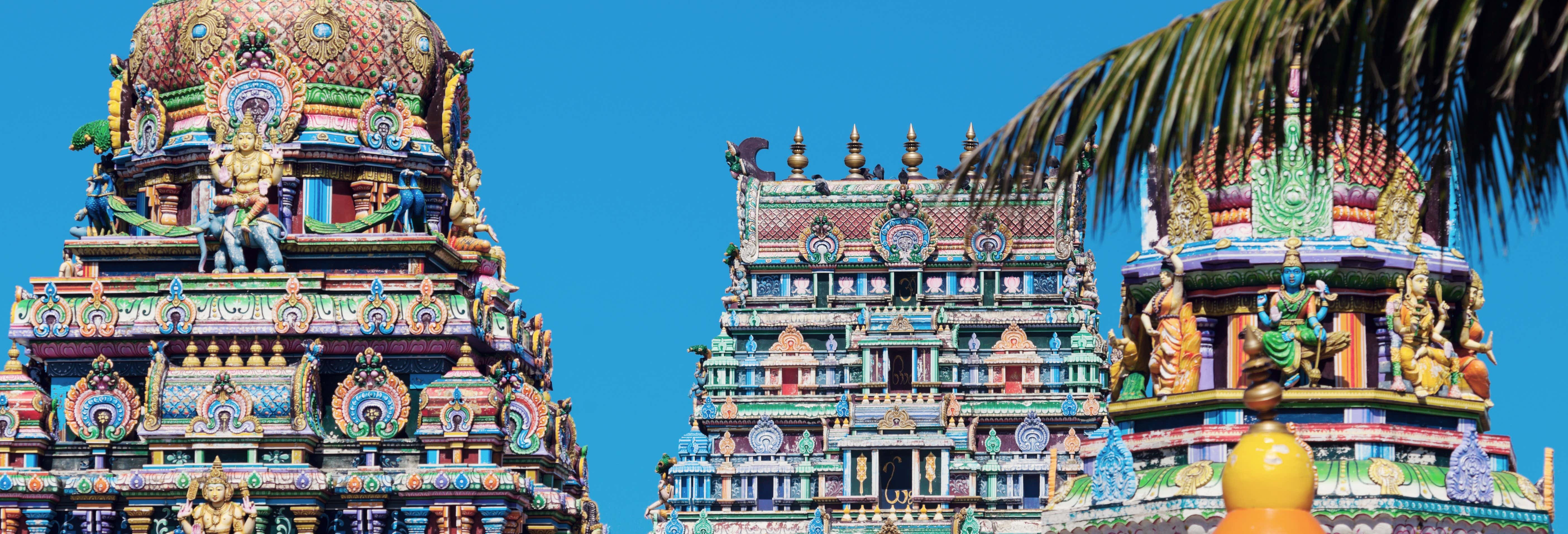 Visita guidata a Nadi