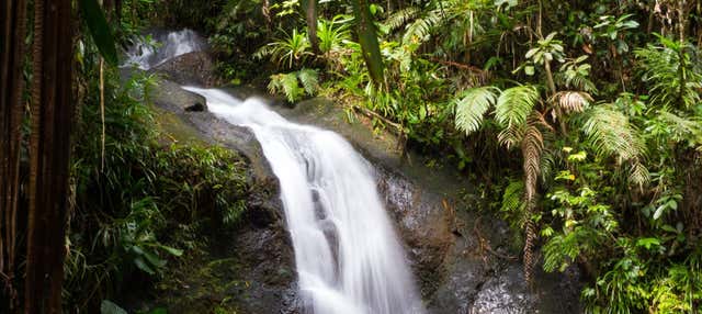 Tour del Parco Forestale Colo-i-Suva