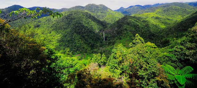 Escursione privata a Salvador Benedicto
