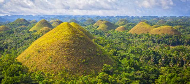 Visita guidata di Bohol