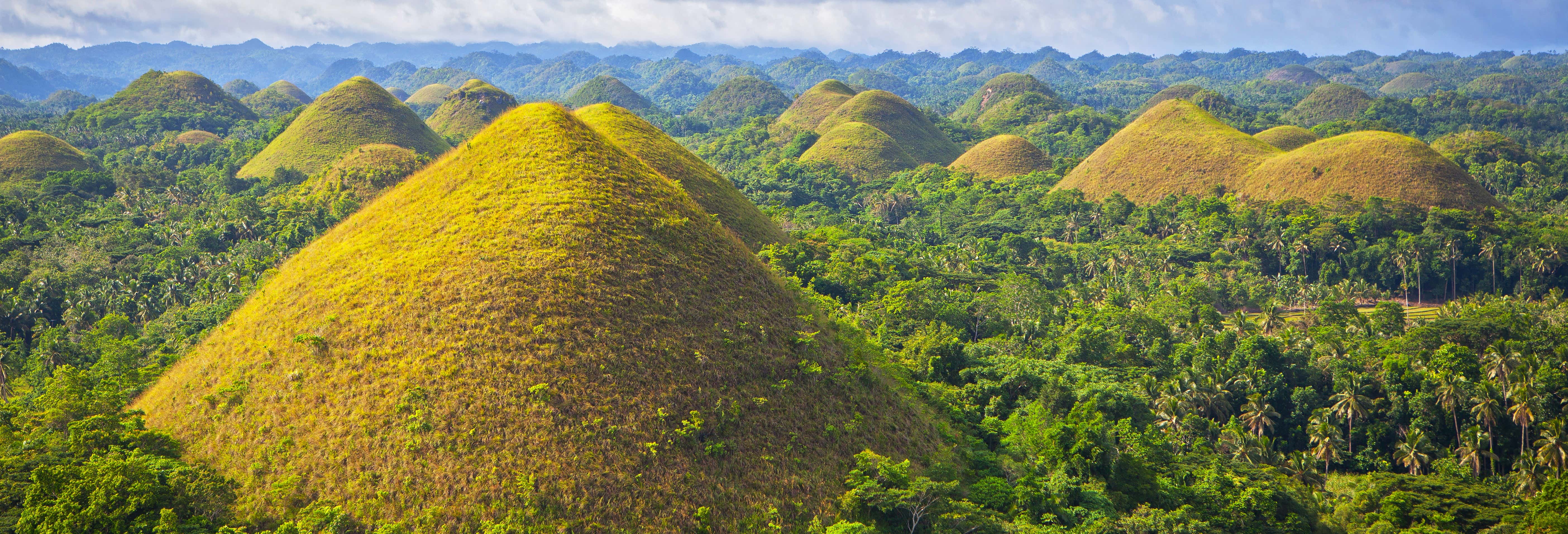 Visita guidata di Bohol