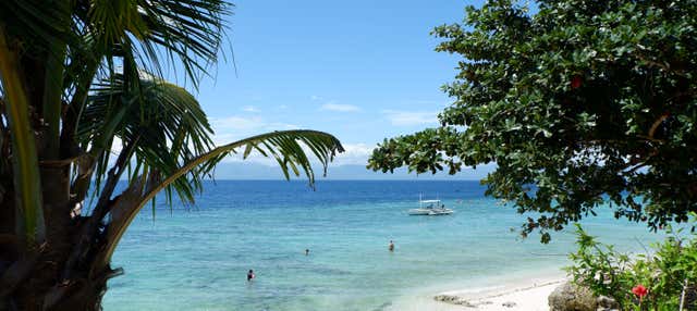 Escursione a Moalboal