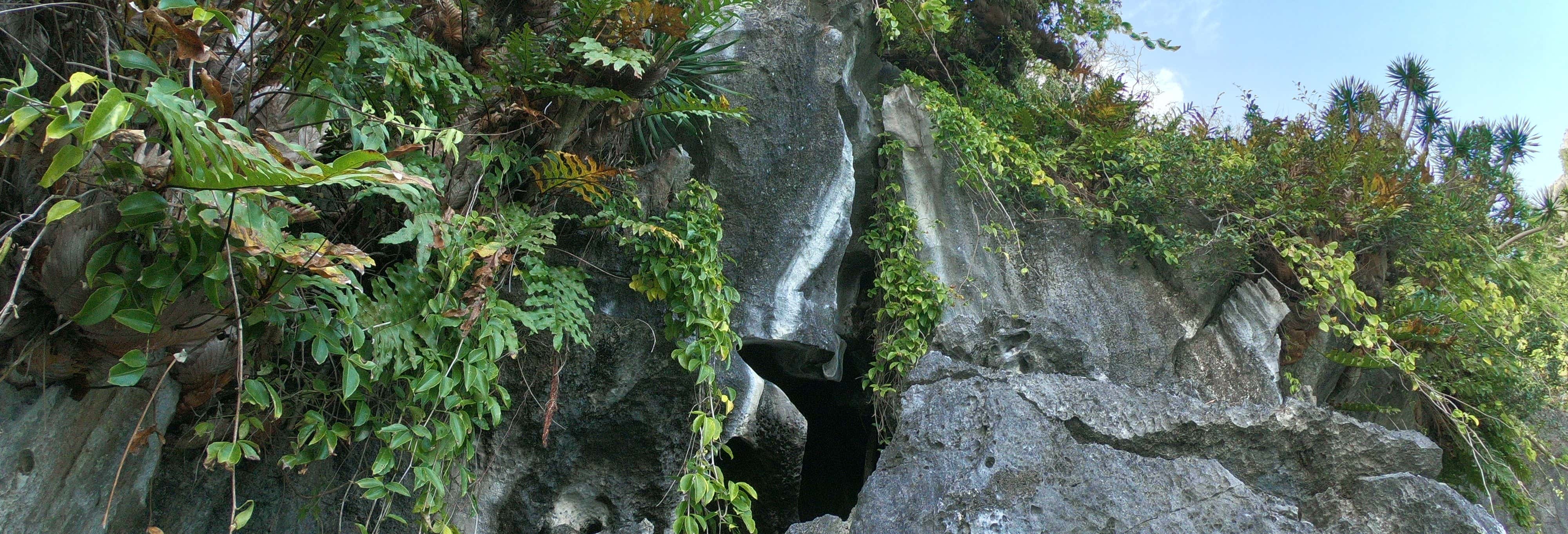 El Nido Caves Boat Tour