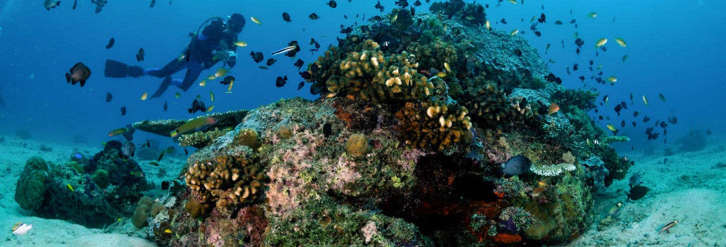 Malapascua Diving