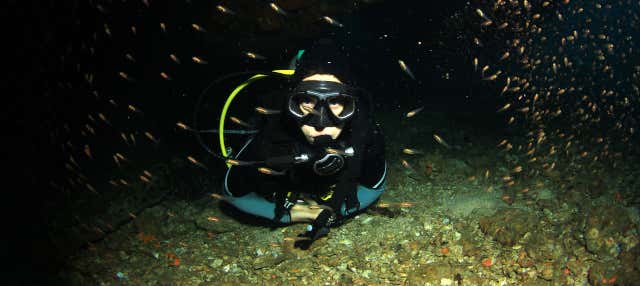 Immersione notturna a Malapascua 