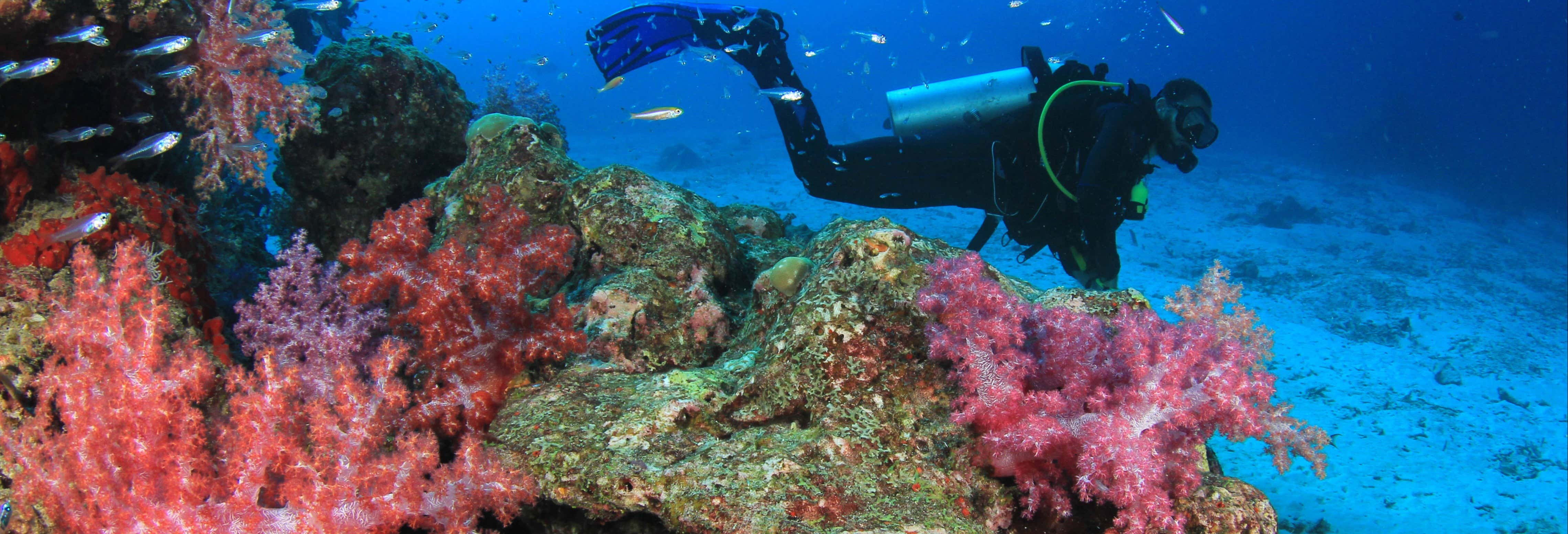 Beginners Scuba Diving in Moalboal