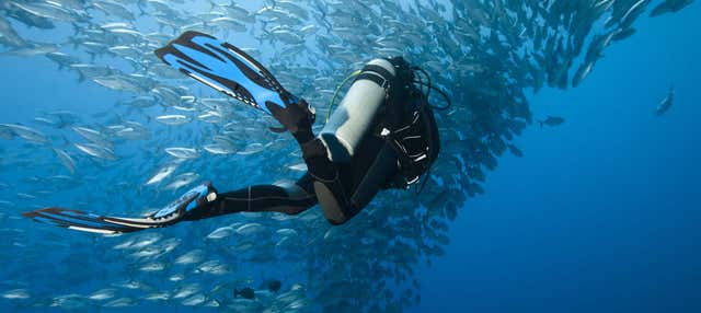 Immersione a Moalboal