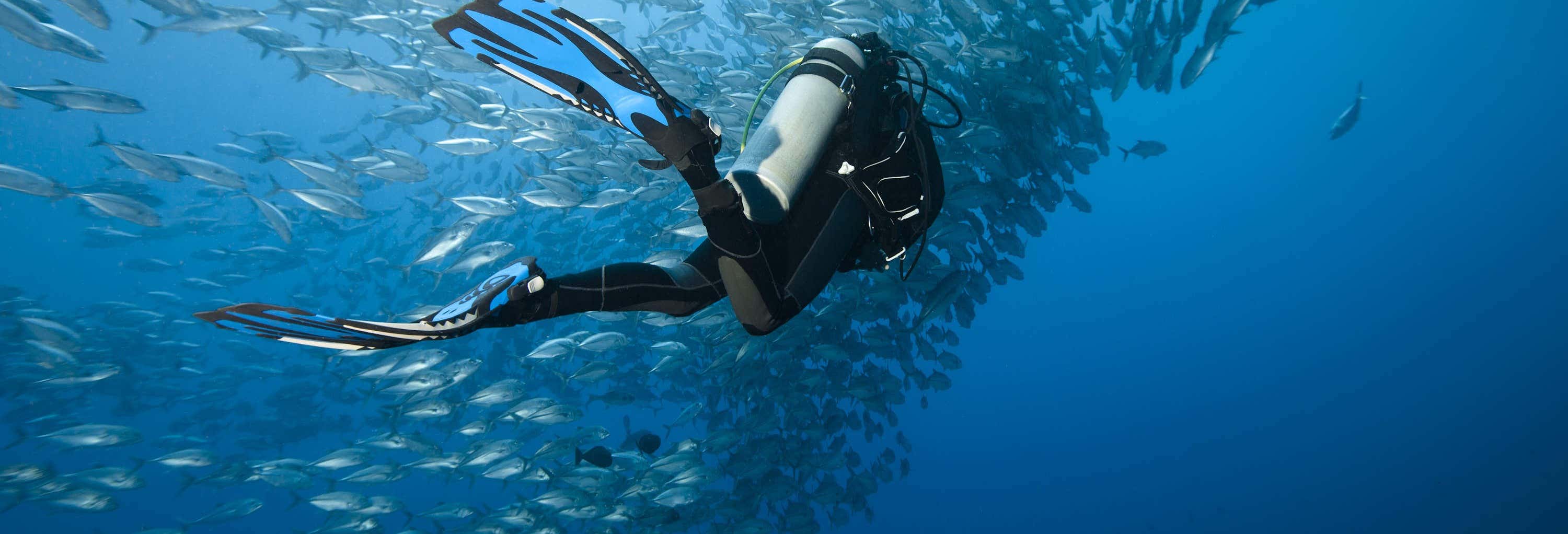 Scuba Diving in Moalboal