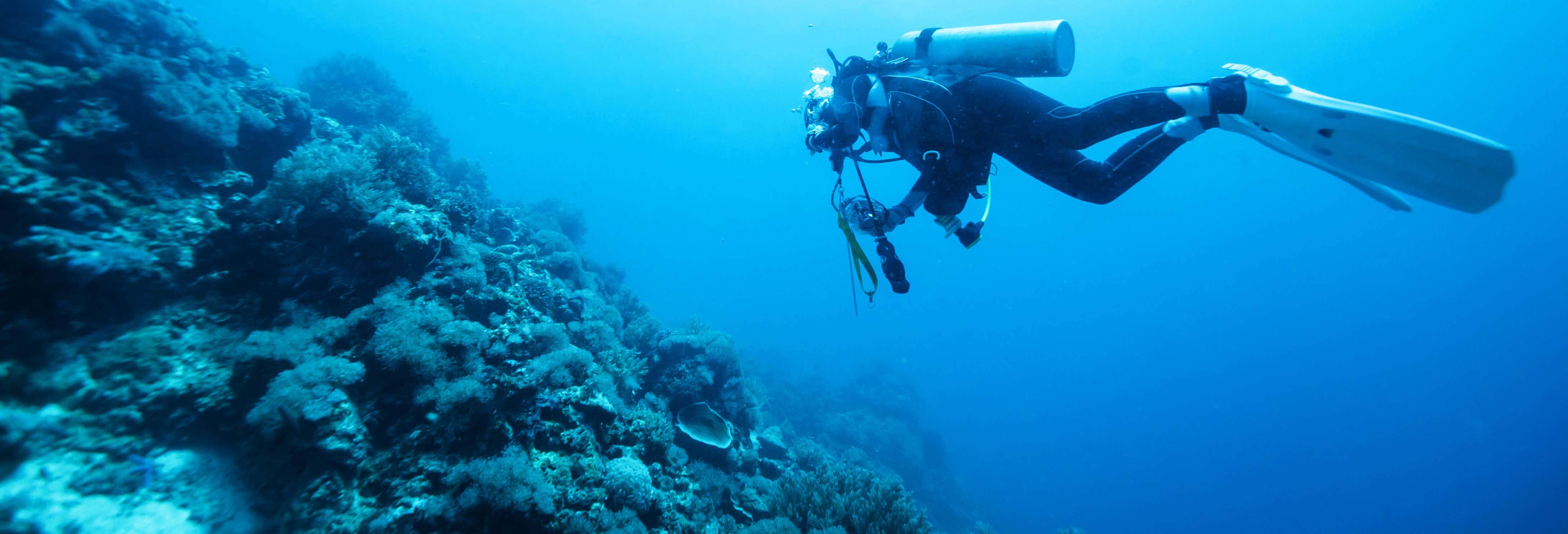 PADI Open Water Diver in Moalboal