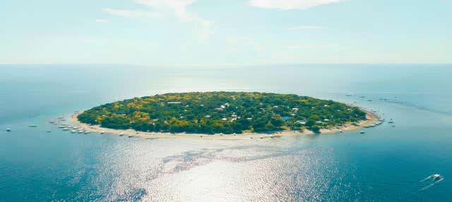 Escursione a Balicasag con avvistamento di delfini