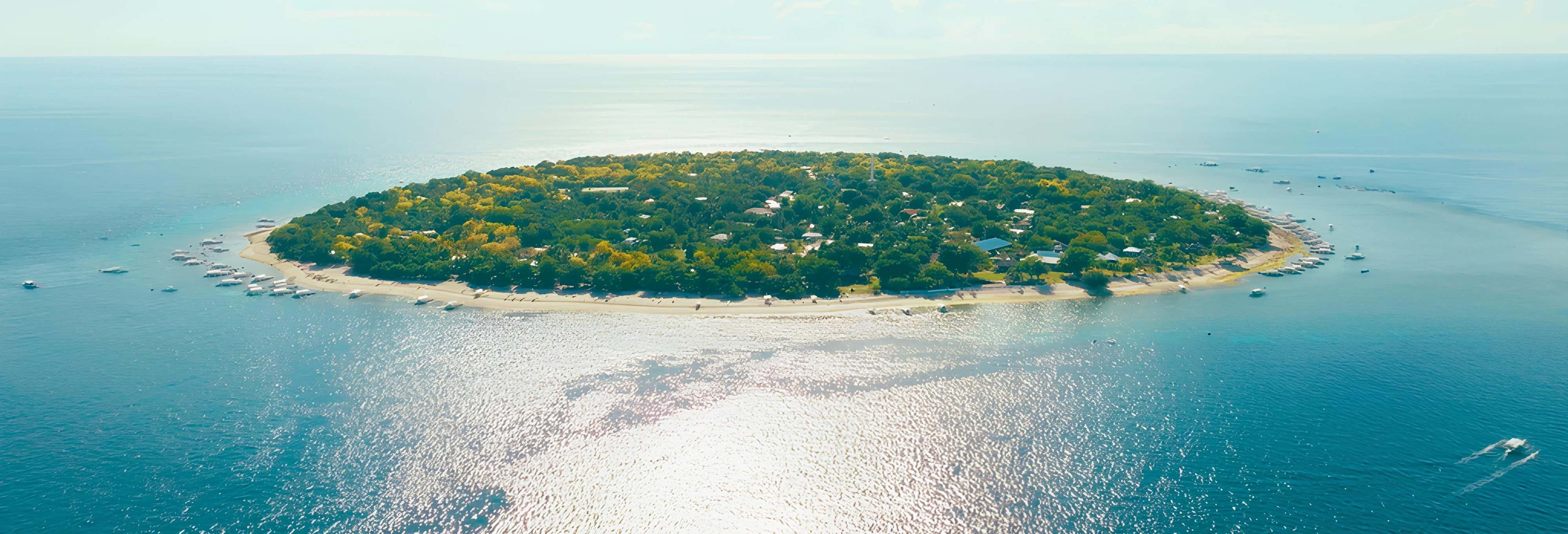 Escursione a Balicasag con avvistamento di delfini