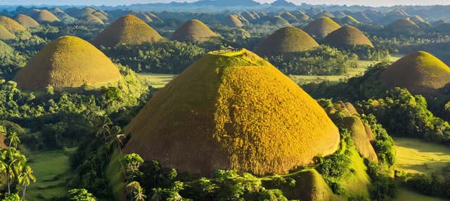 Escursione alle Colline di Cioccolato