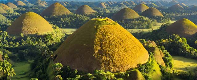 Excursion aux Chocolate Hills