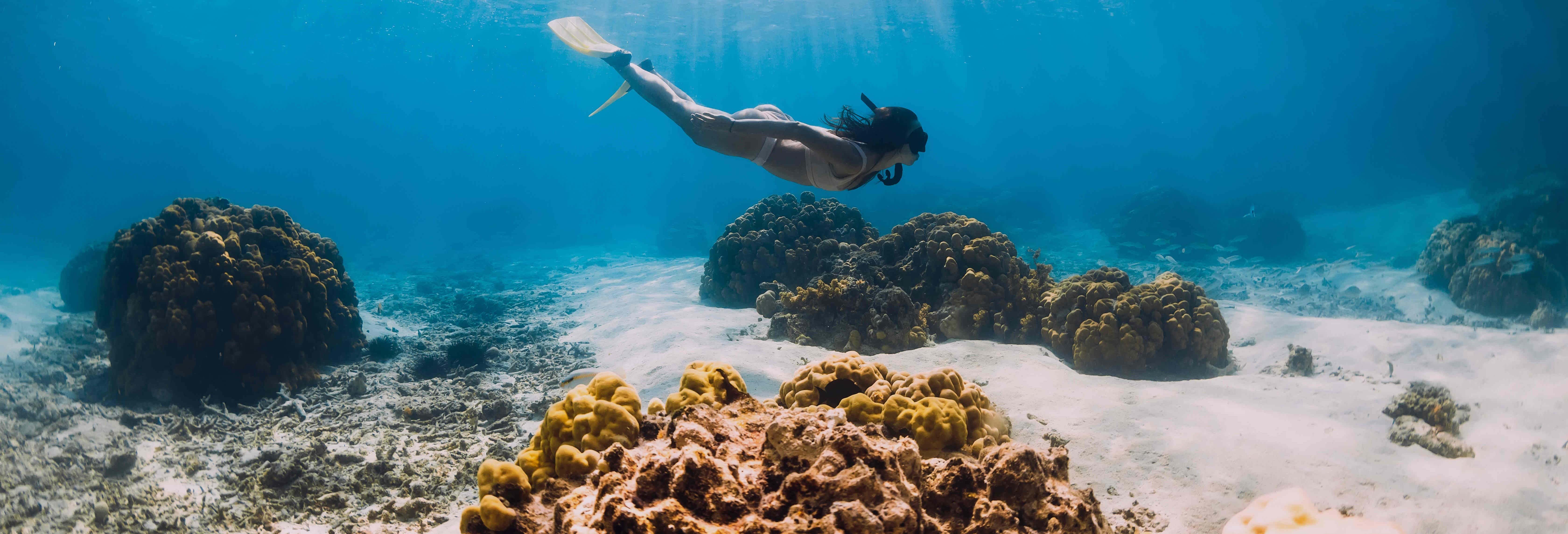 Port Barton Snorkelling Tour