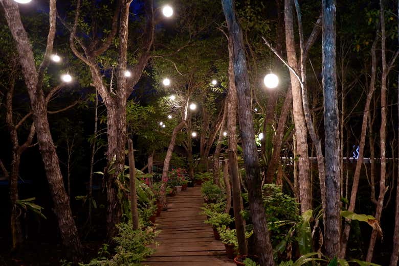 Nagsaguipi River Firefly Watching