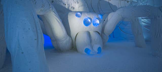 Escursione a SnowVillage