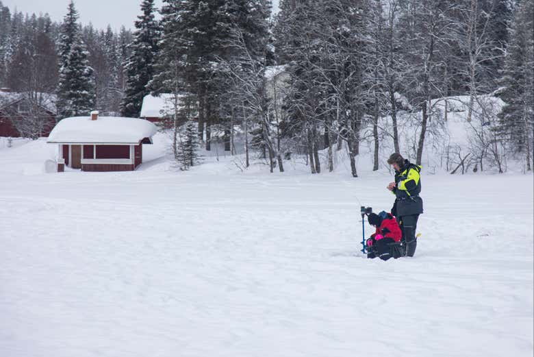 Imagen 6