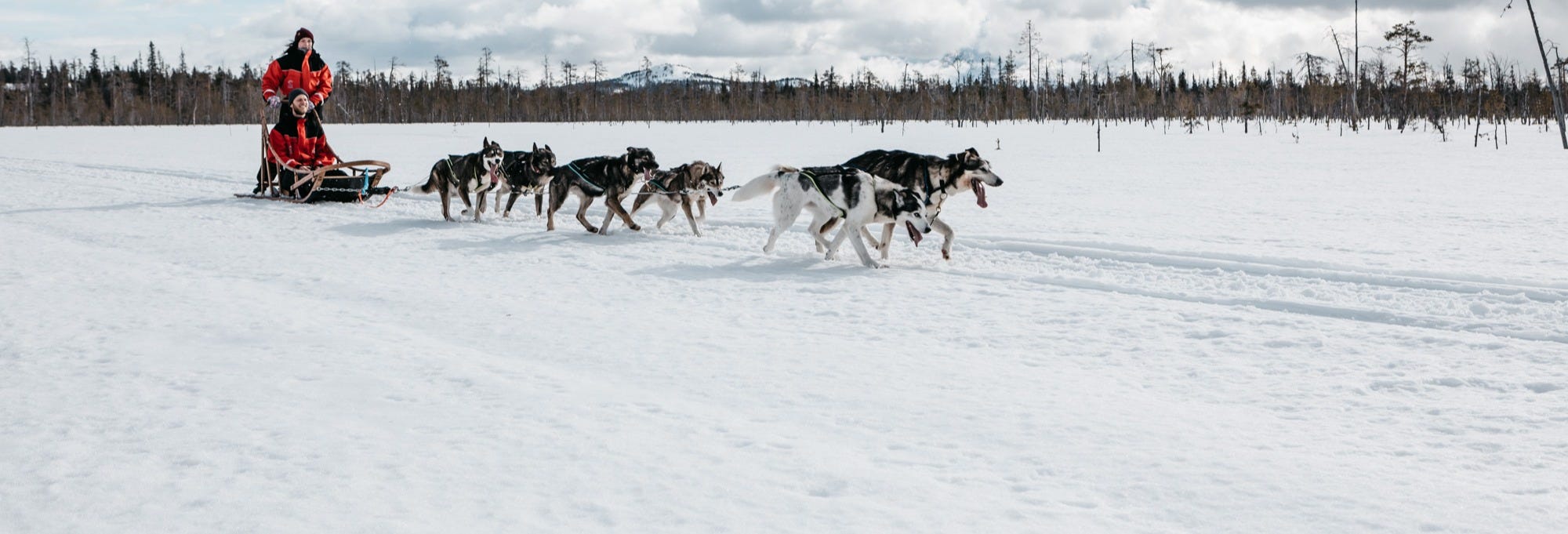 Husky Sleigh Ride