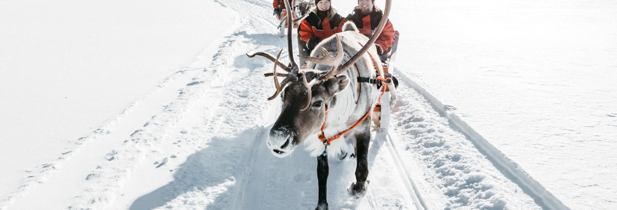 Reindeer Sleigh Ride