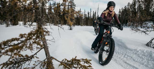 Tour in bici elettrica a Pallas-Yllästunturi