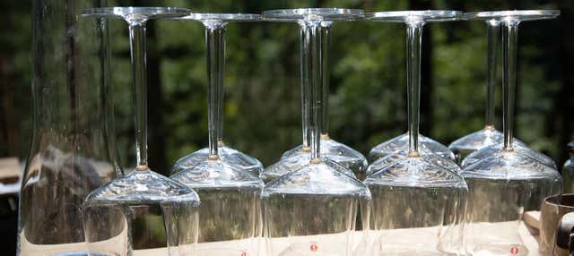 Degustazione di vino nel bosco di Espoo