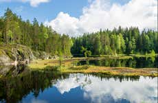 Nuuksio National Park Hike