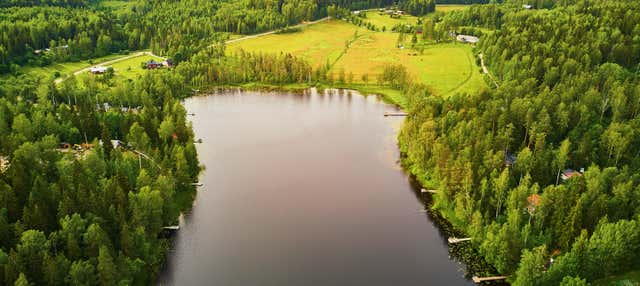 Escursione al Parco nazionale di Sipoonkorpi + Sauna finlandese