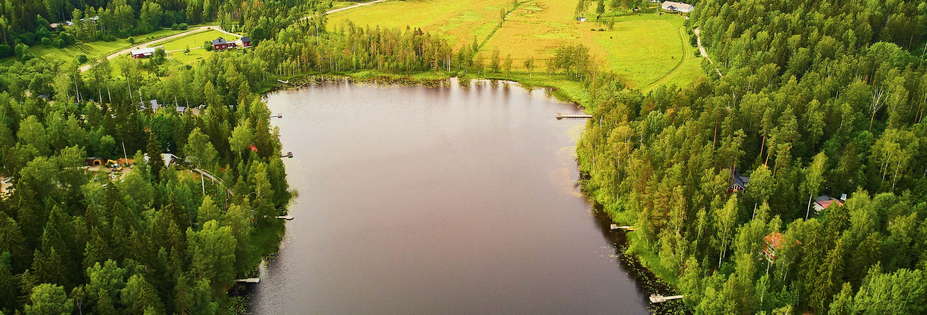 Sipoonkorpi National Park Excursion + Finnish Sauna