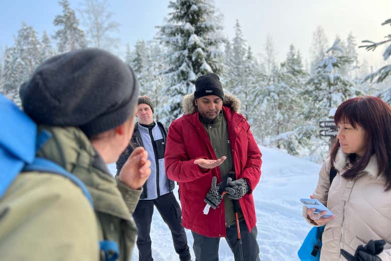 Liesjarvi National Park Hike