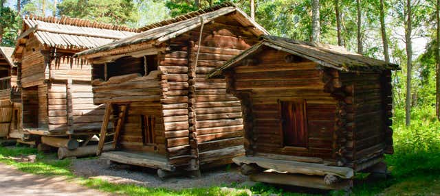 Tour di Helsinki + Museo all'aperto di Seurasaari
