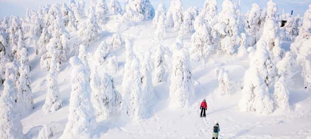Passeggiata con le racchette da neve a Inari