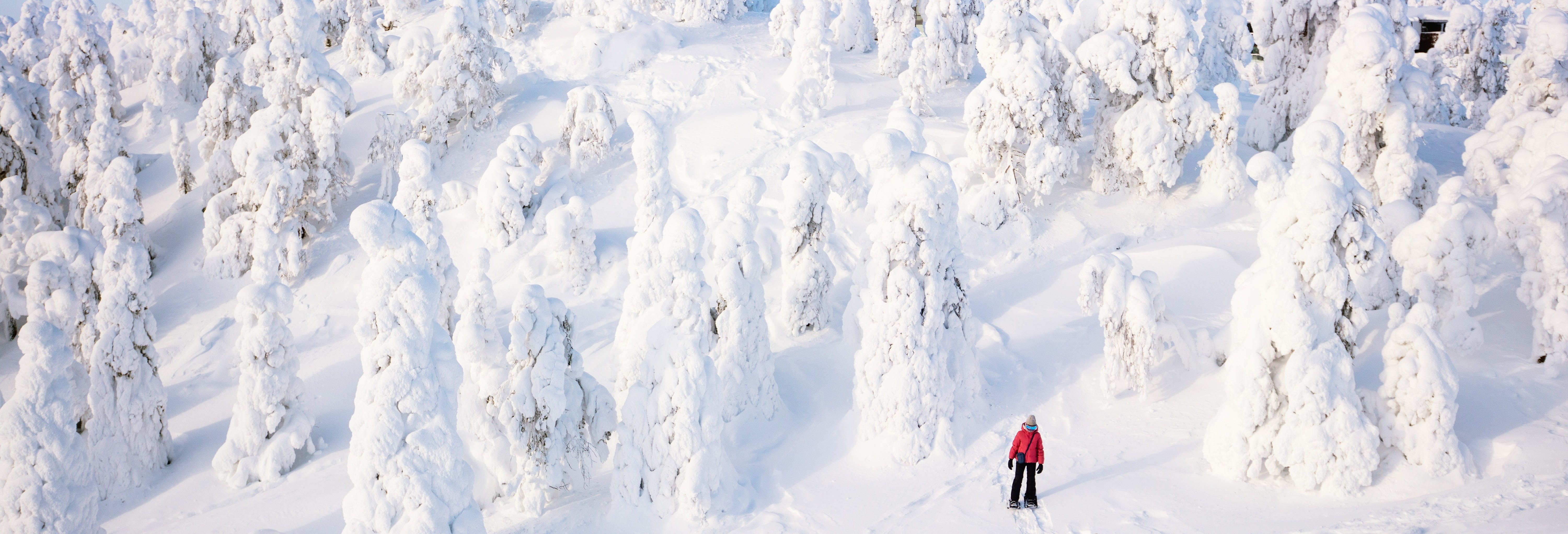 Snowshoeing Tour in Inari