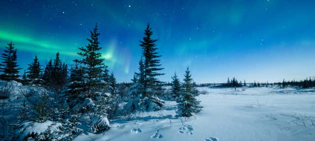 Passeggiata con le racchette da neve sotto l'aurora boreale