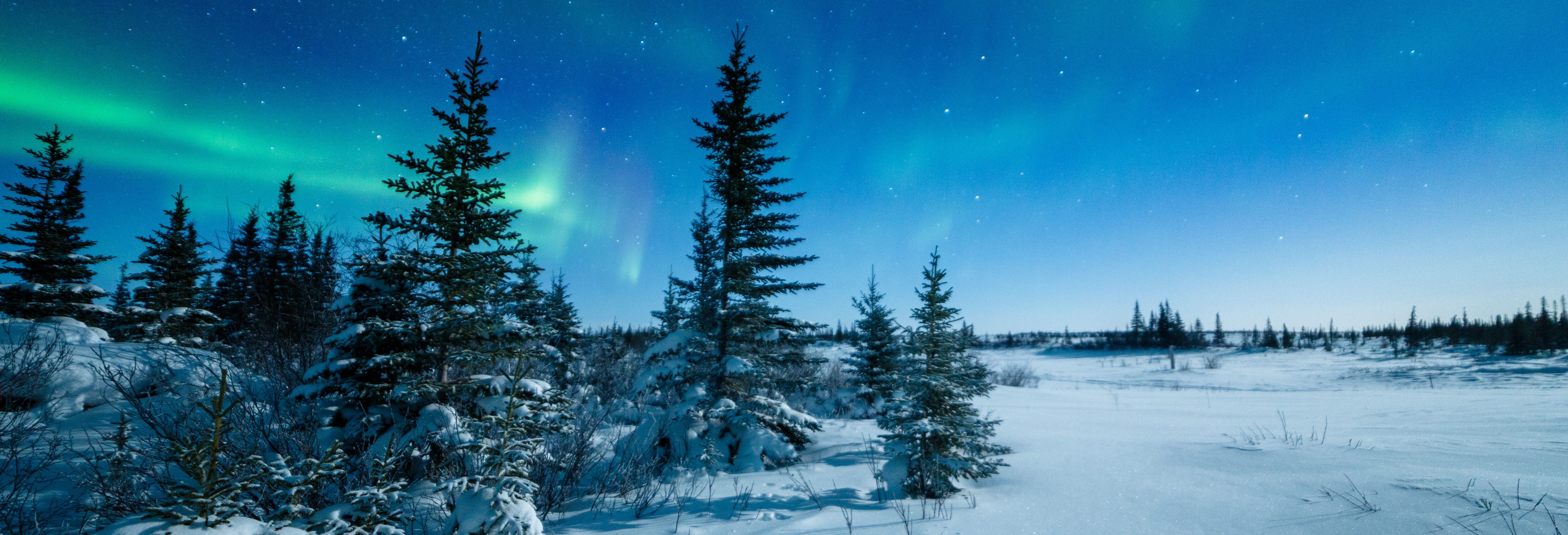 Snowshoeing under the Northern Lights