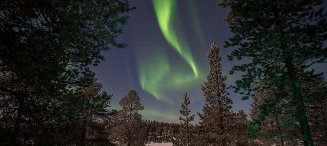 Tour de la aurora boreal en el lago Inari